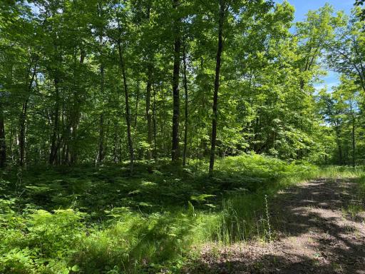 NA Burman Rd, Willow River, MN 55795