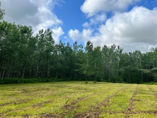 NA Burman Rd, Willow River, MN 55795
