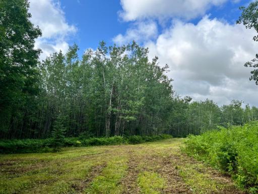 NA Burman Rd, Willow River, MN 55795