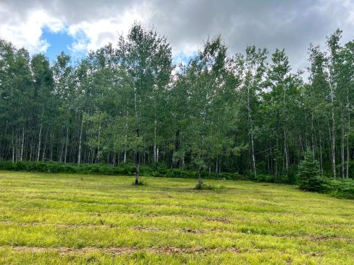 NA Burman Rd, Willow River, MN 55795