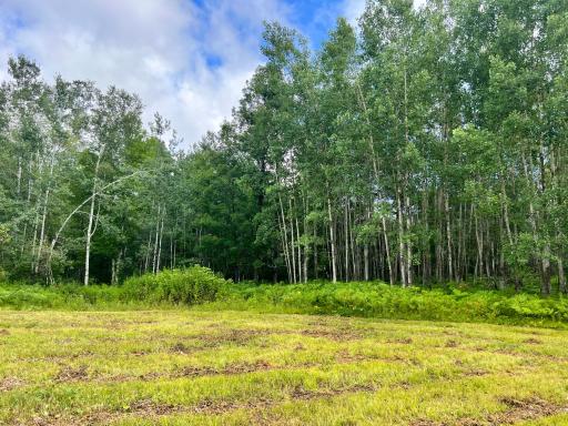 NA Burman Rd, Willow River, MN 55795