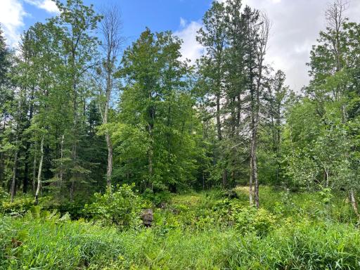 NA Burman Rd, Willow River, MN 55795