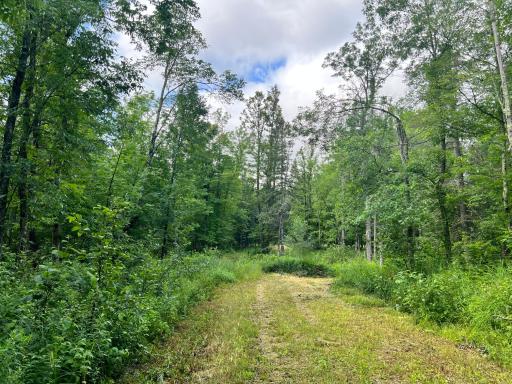 NA Burman Rd, Willow River, MN 55795