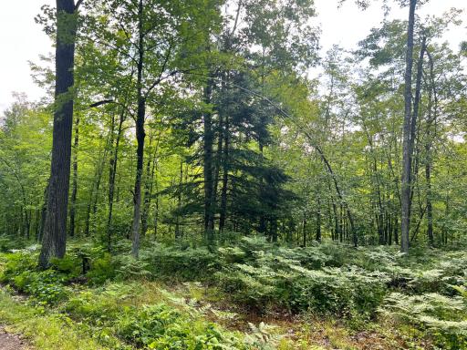 NA Burman Rd, Willow River, MN 55795