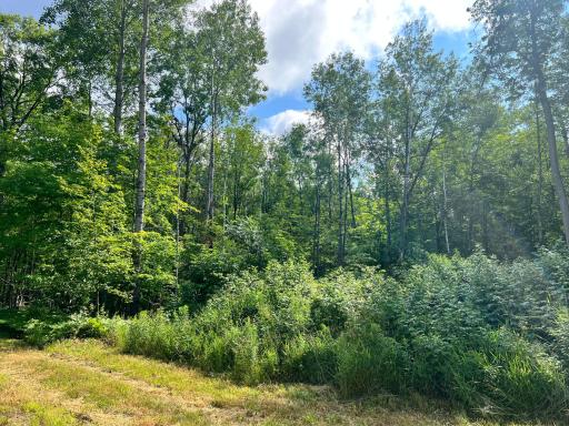 NA Burman Rd, Willow River, MN 55795