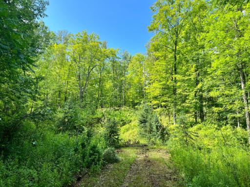NA Burman Rd, Willow River, MN 55795