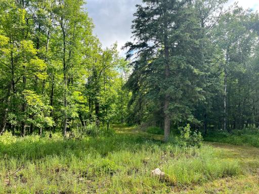 NA Burman Rd, Willow River, MN 55795