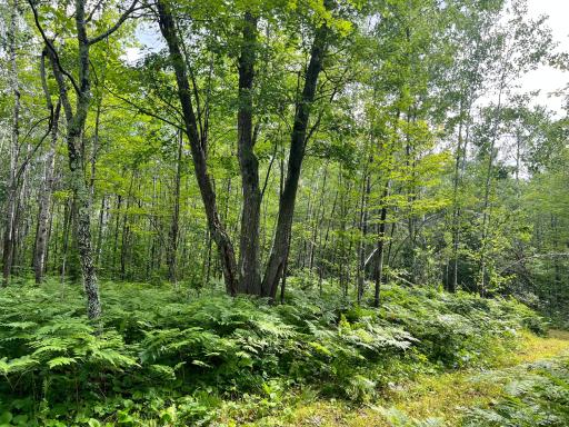 NA Burman Rd, Willow River, MN 55795