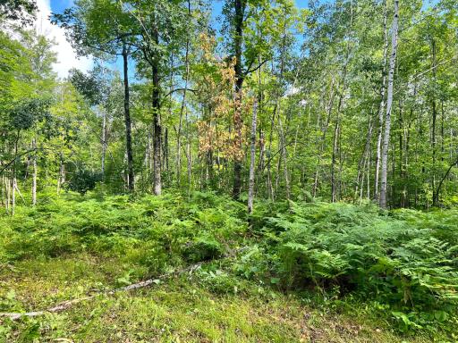 NA Burman Rd, Willow River, MN 55795