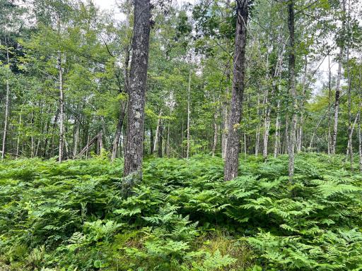 NA Burman Rd, Willow River, MN 55795