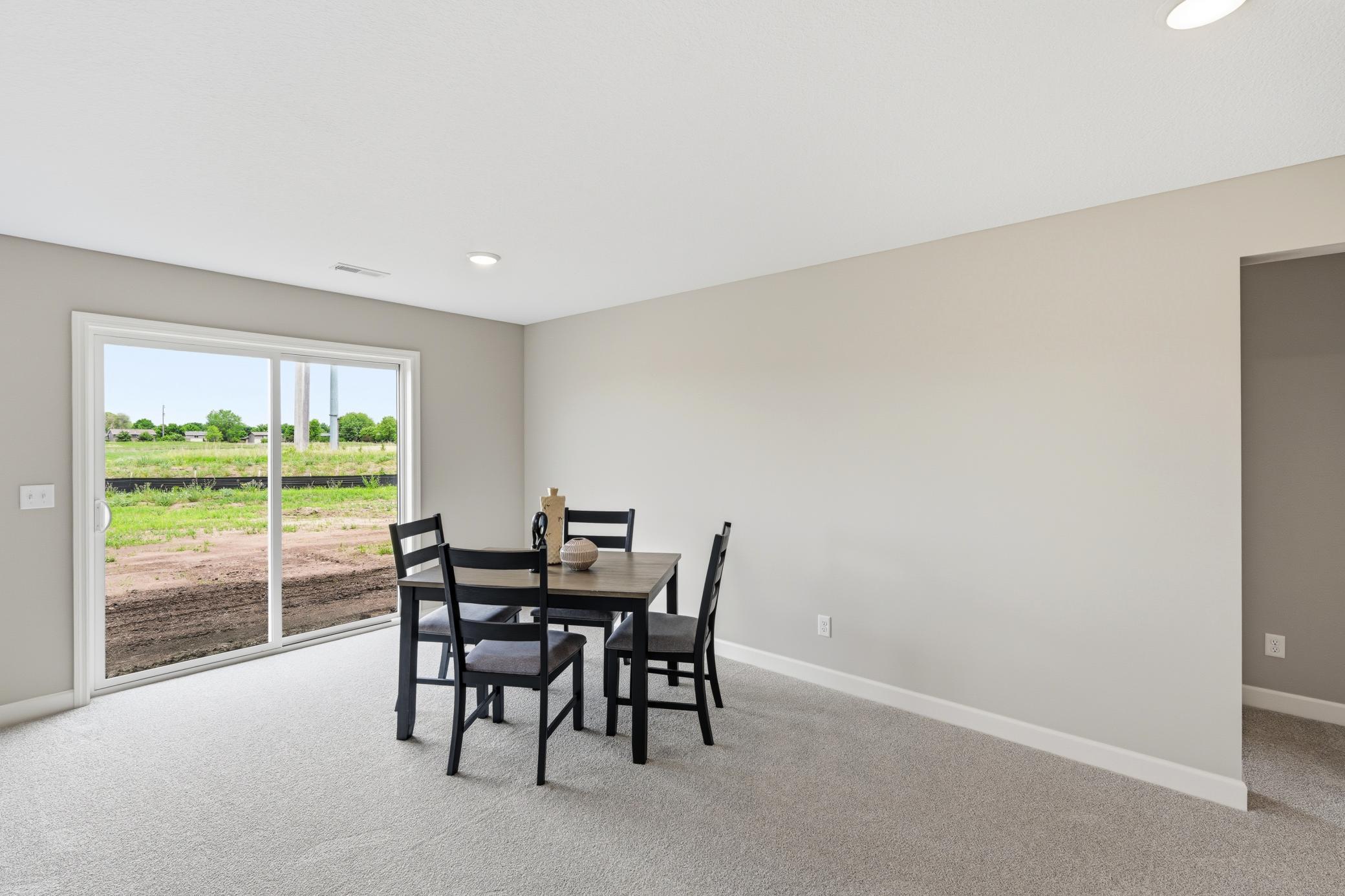 Lower Level Family Room