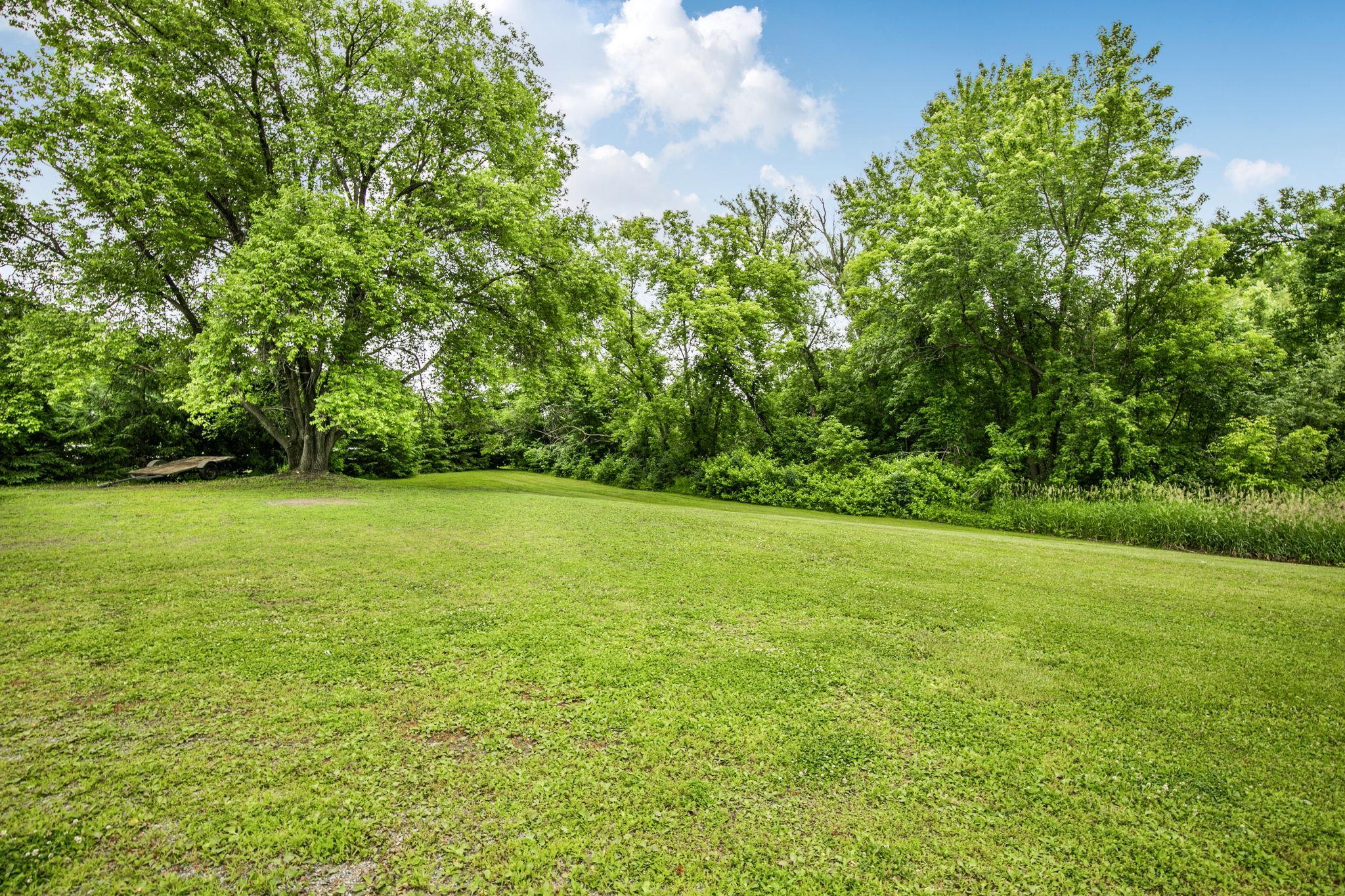 Mature Trees, Newly Planted Evergreens and Many Fruit Trees