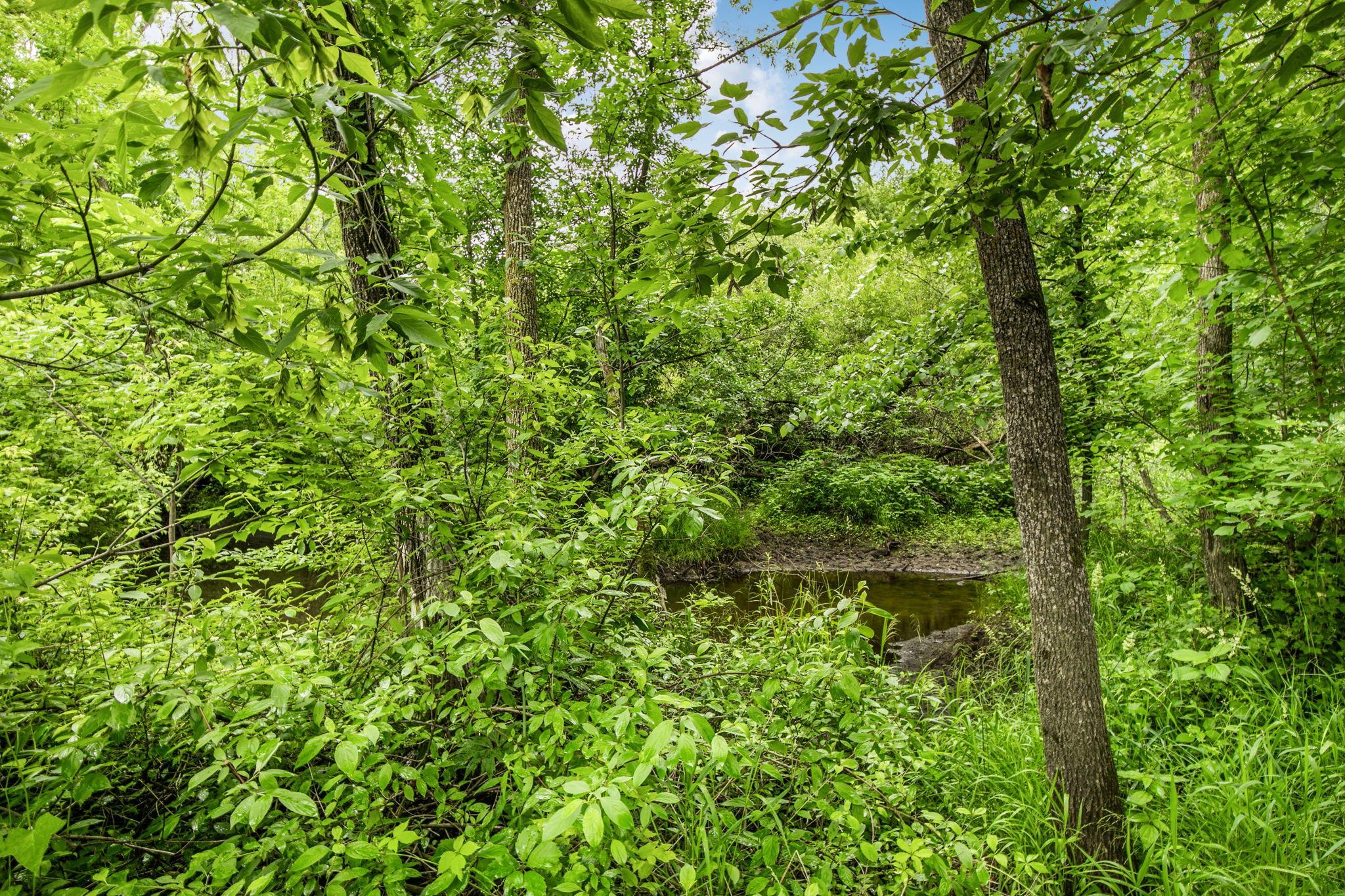 Enjoy Your Creek Just Steps from Your Home