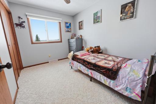 34713 73rd Street, Pierz, MN 56364