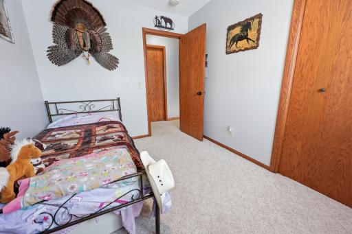 34713 73rd Street, Pierz, MN 56364