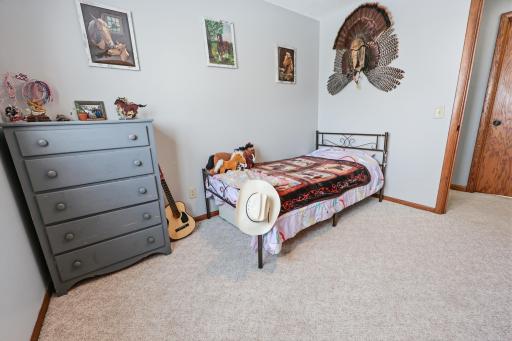 34713 73rd Street, Pierz, MN 56364