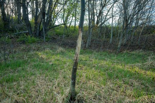 Tract 4 - TBD State Highway 108, Pelican Rapids, MN 56572