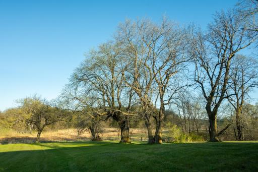 Tract 4 - TBD State Highway 108, Pelican Rapids, MN 56572