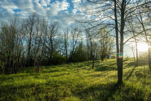 Tract 4 - TBD State Highway 108, Pelican Rapids, MN 56572