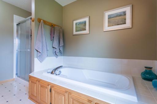3895 Arlington Drive, Saint Paul, MN 55129