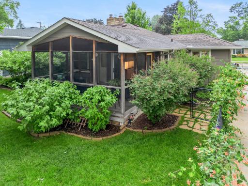 The honeysuckle draping the fence is even prettier in person. The bushes to the right of the screen porch are purple lilacs.
