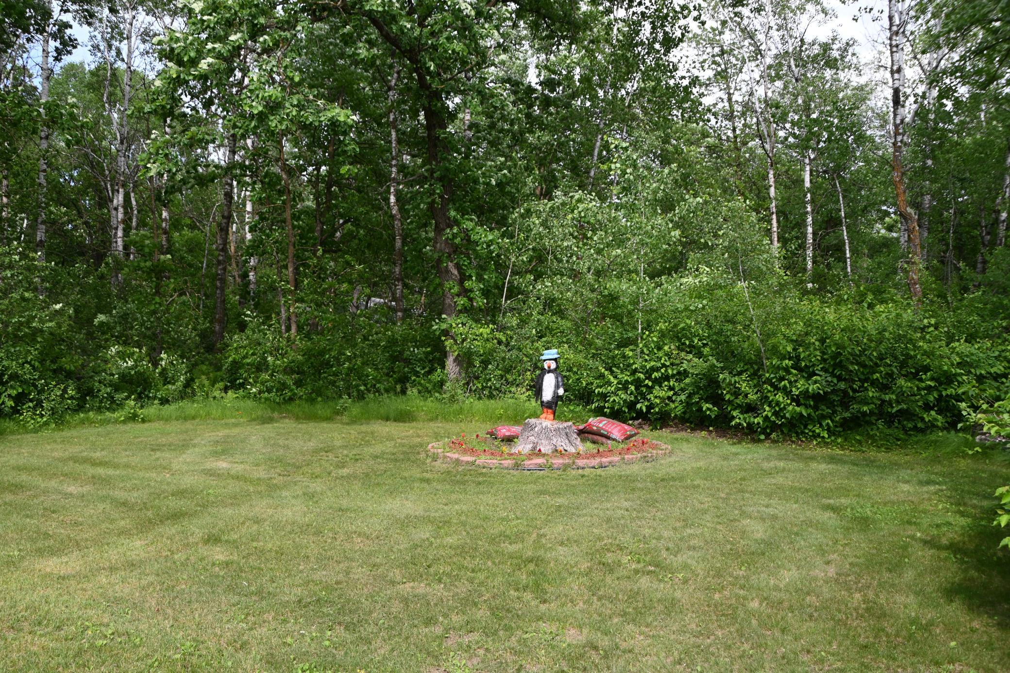 Photo 9