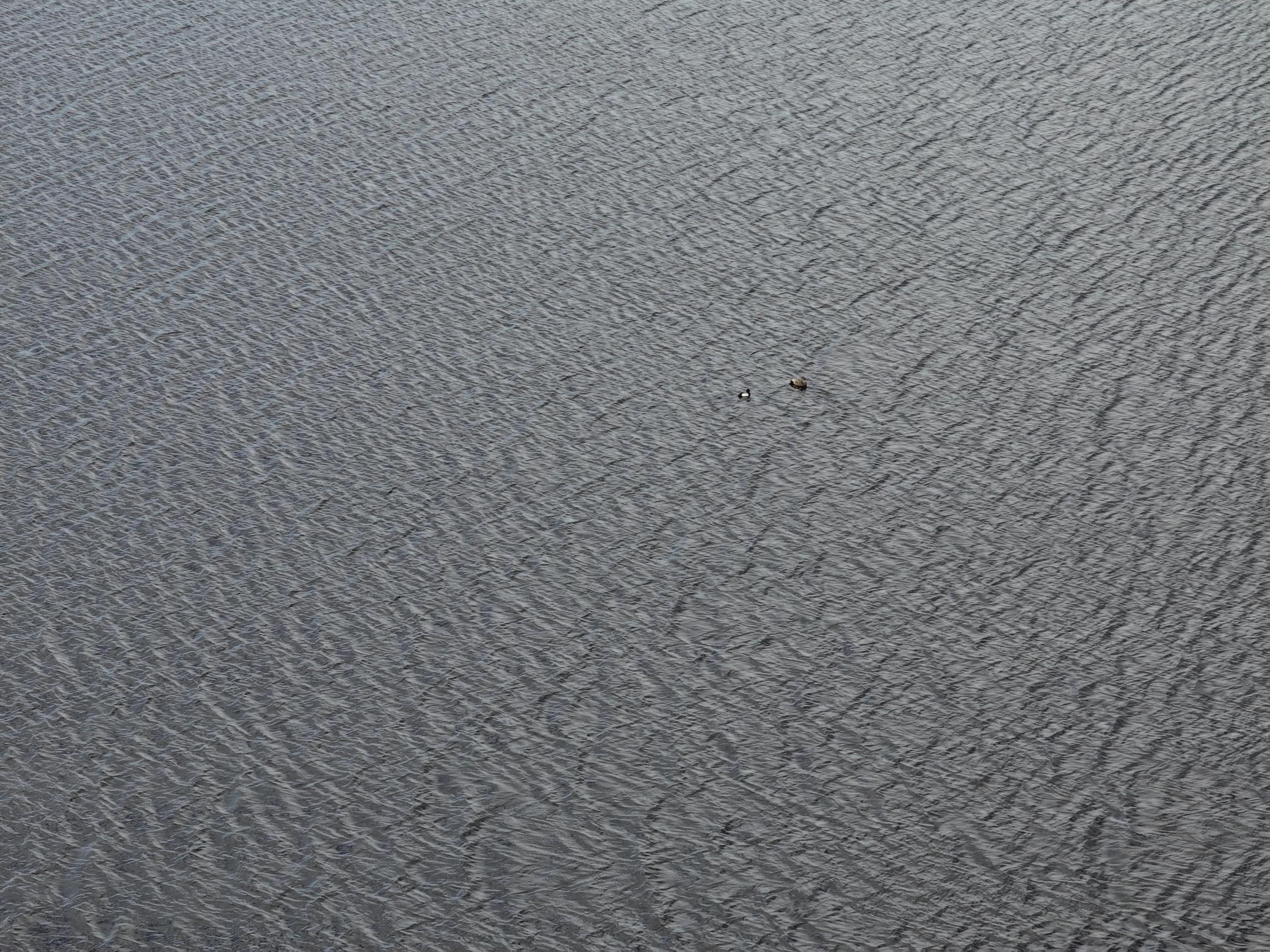 DJI_20260506133543_0015_D.JPG