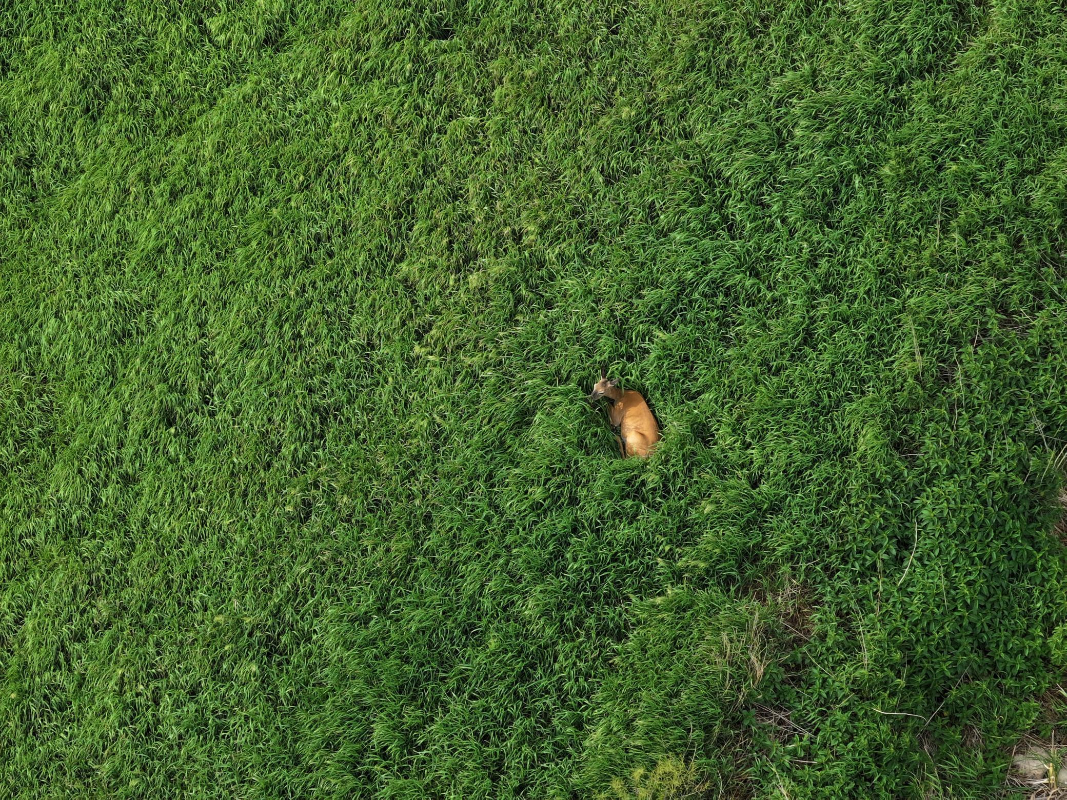 DJI_20260506133643_0018_D.JPG