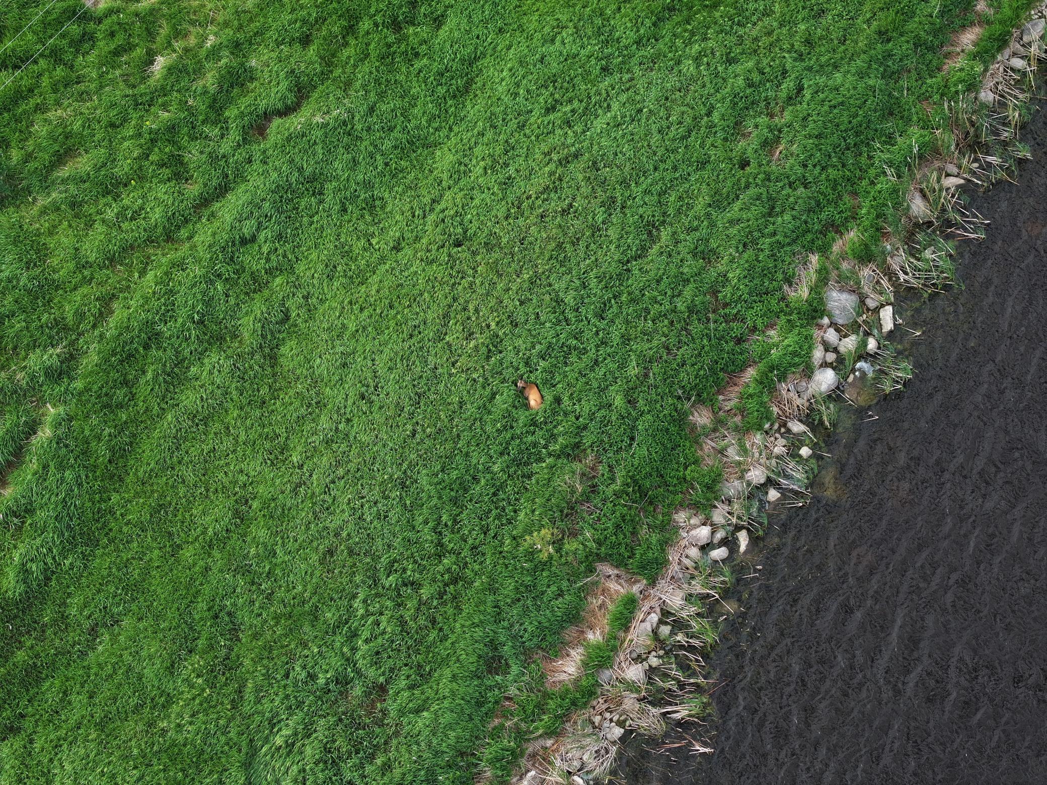 DJI_20260506133743_0020_D.JPG