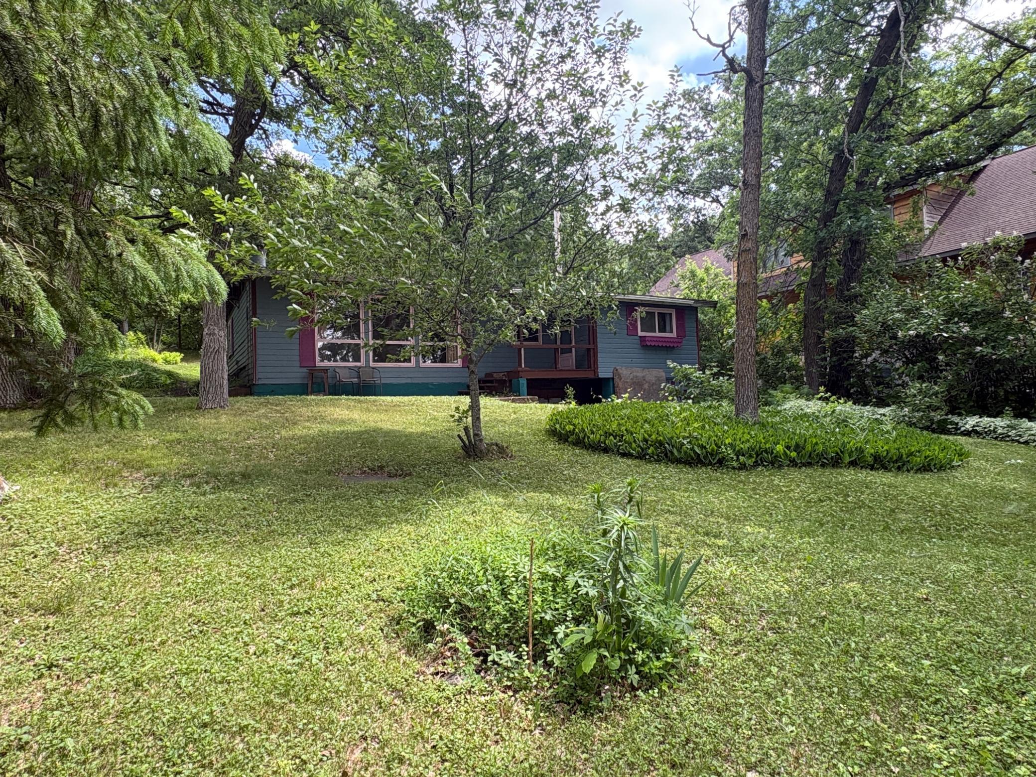 Huge Yard-Mature Shade Trees.JPG
