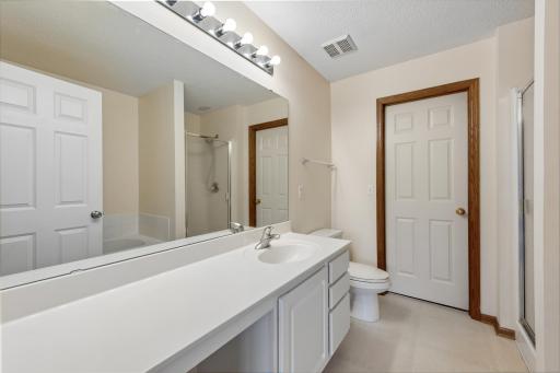 868 Princeton Avenue - Bathroom & Walk-in closet in the Owner's Suite