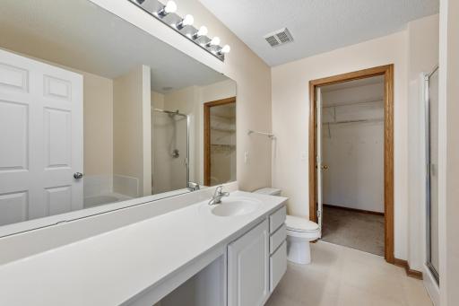 868 Princeton Avenue - Bathroom & Walk-in closet in the Owner's Suite