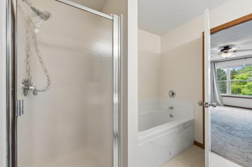 868 Princeton Avenue - Bathroom & Walk-in closet in the Owner's Suite