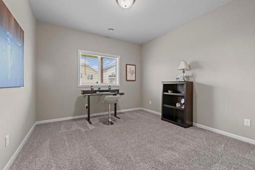 Lower level secondary bedroom with large closet.
