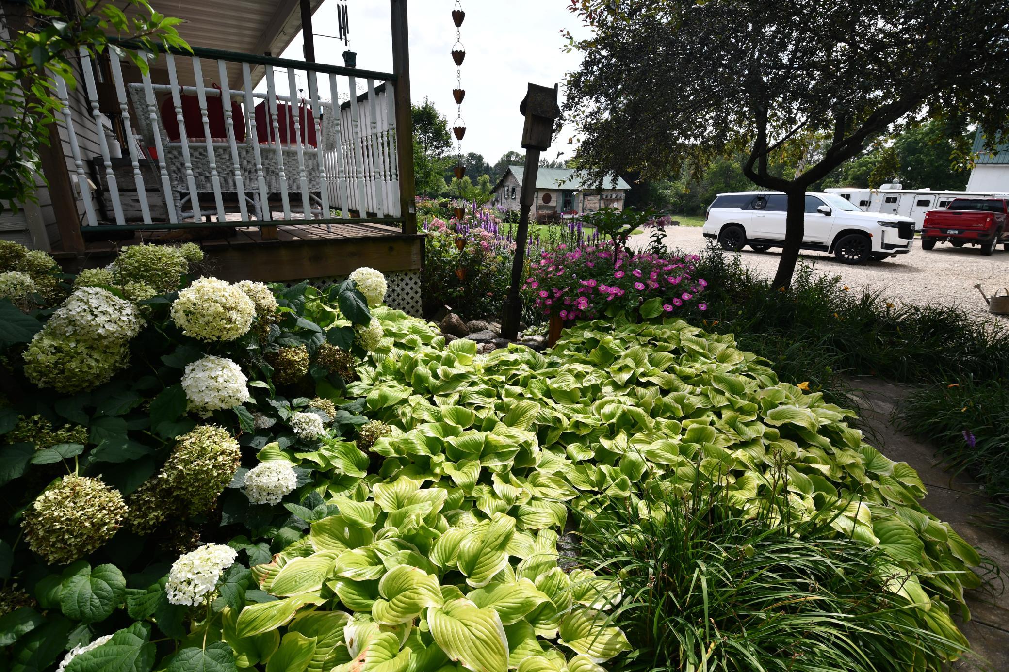 Photo 48