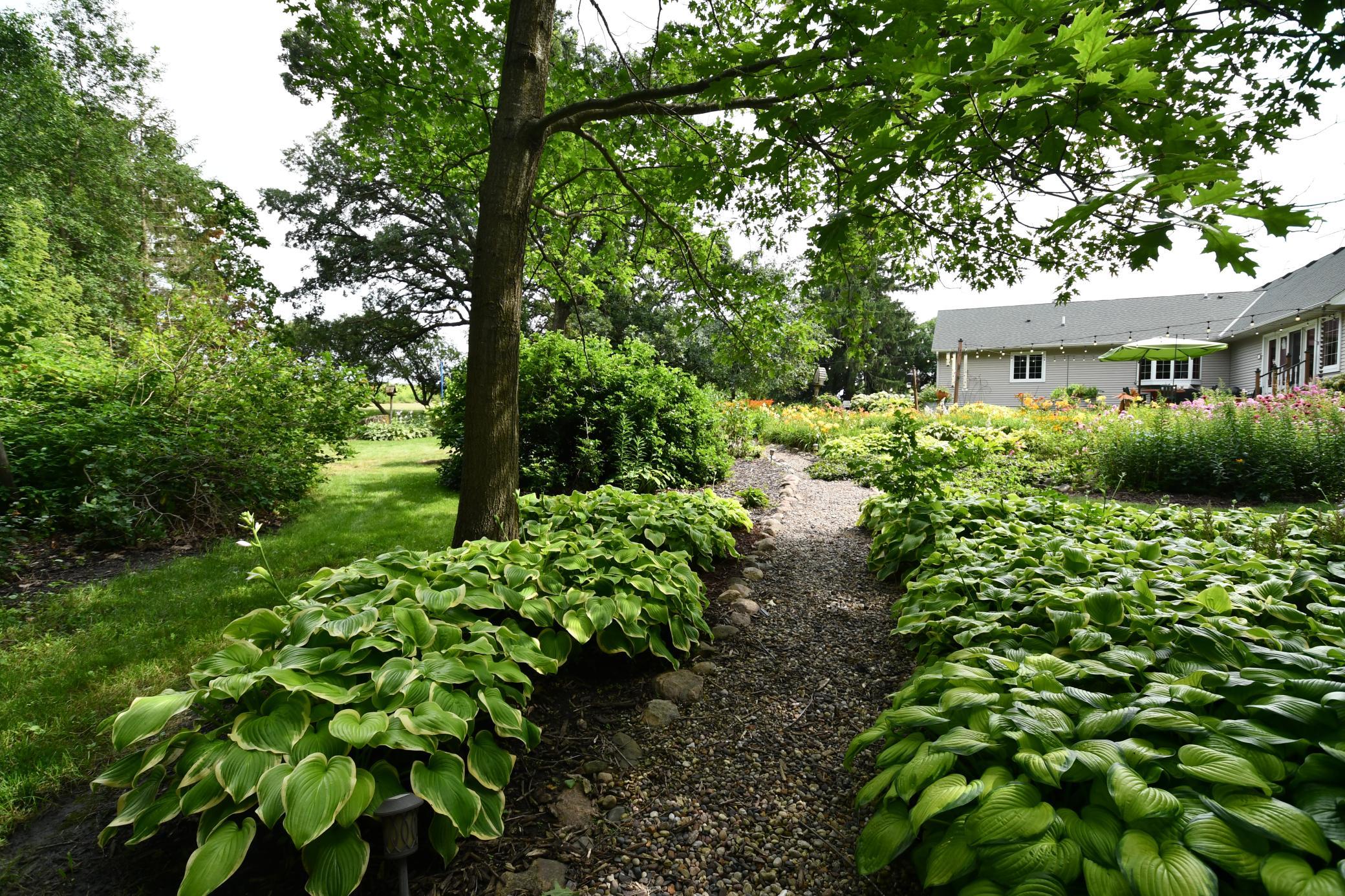 DSC_1977.JPG