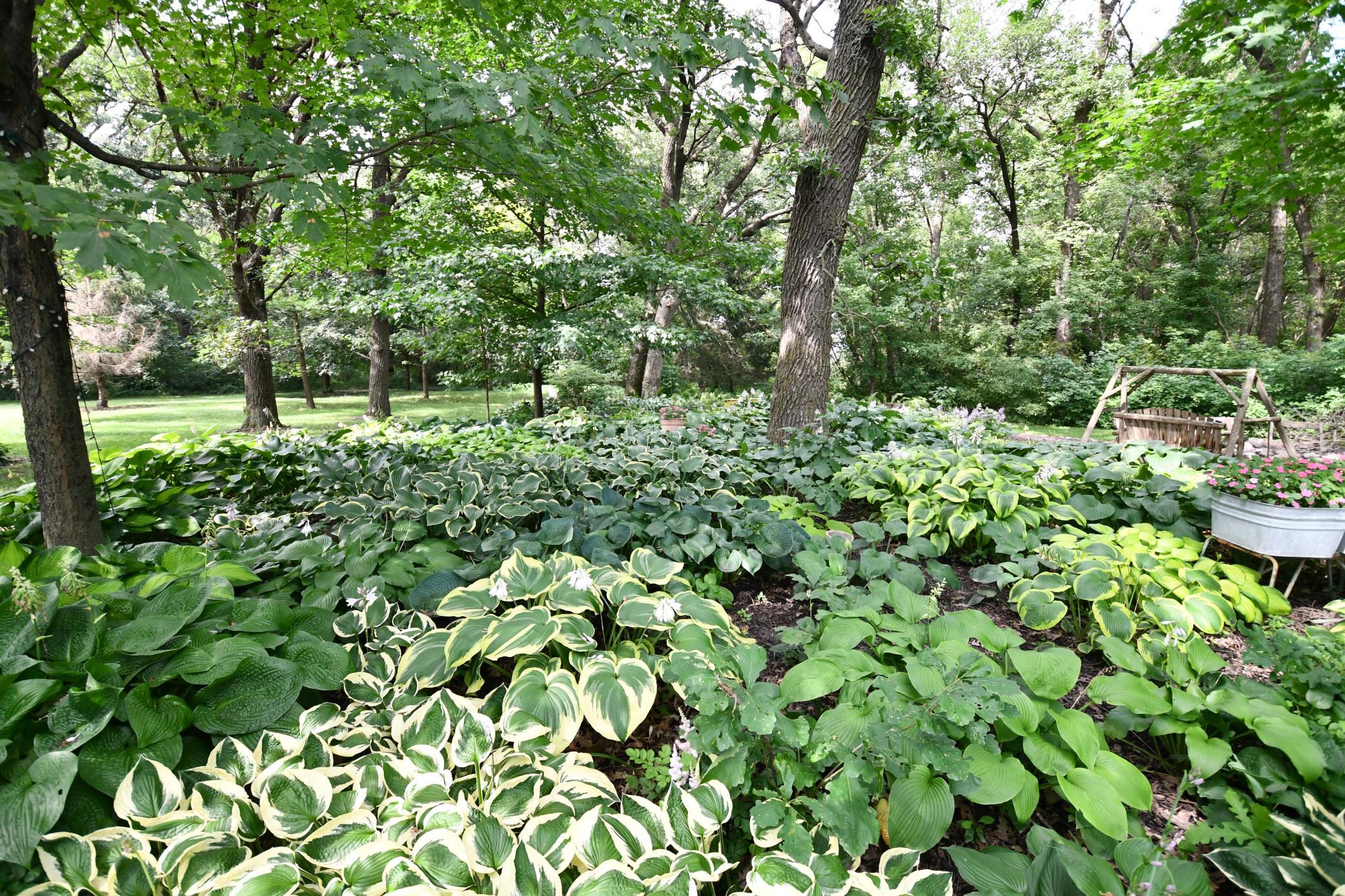 DSC_1973.JPG