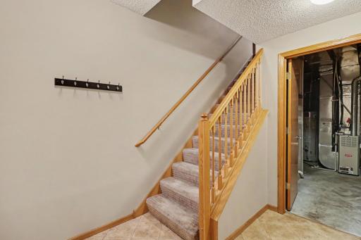 016_file_8217.jpg