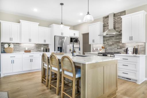 883 174th Avenue NE, Andover, MN 55304