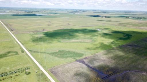 XXXX 200th Street, Elbow Lake, MN 56531