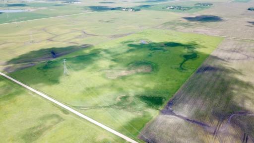 XXXX 200th Street, Elbow Lake, MN 56531
