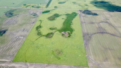 XXXX 200th Street, Elbow Lake, MN 56531