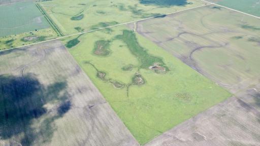 XXXX 200th Street, Elbow Lake, MN 56531