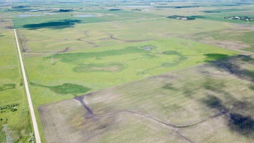 XXXX 200th Street, Elbow Lake, MN 56531