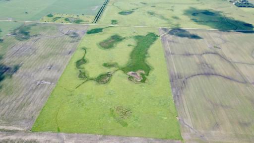 XXXX 200th Street, Elbow Lake, MN 56531