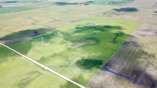 XXXX 200th Street, Elbow Lake, MN 56531