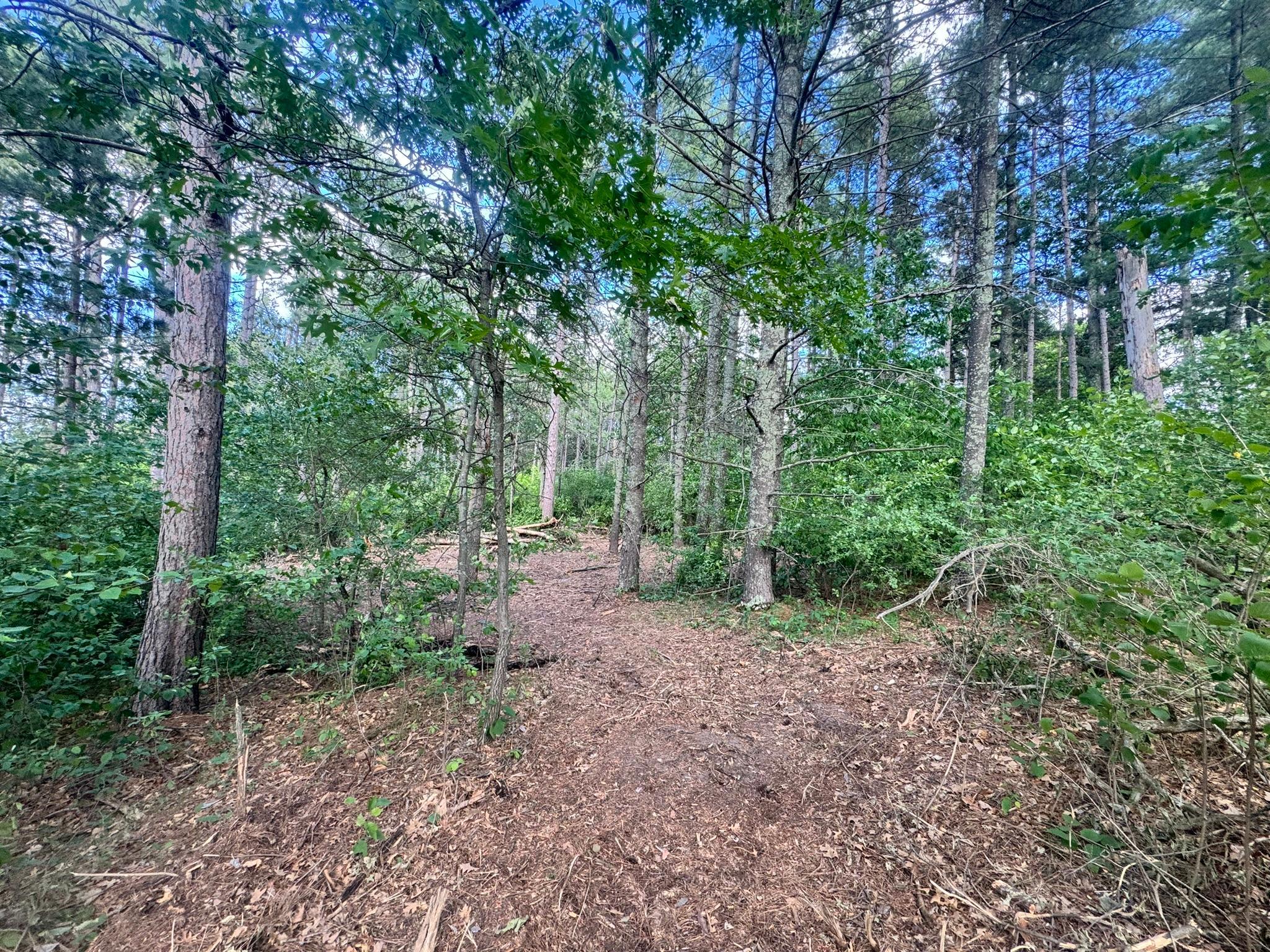 Property photo for TBD Tract 1 County 13, Nevis, MN 56467
