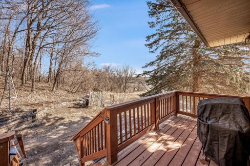 48050 Belgrade Township 193 St Peter MN-10.jpg