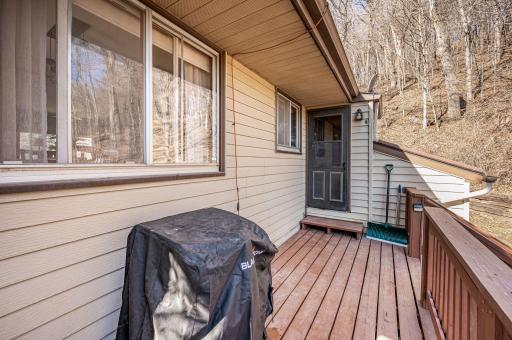48050 Belgrade Township 193 St Peter MN-9.jpg