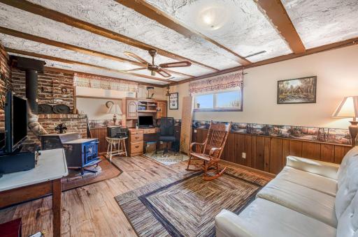 48050 Belgrade Township 193 St Peter MN-37.jpg